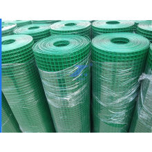 China fábrica venta caliente PVC recubierto de malla de alambre soldado con autógena (TS-E46)